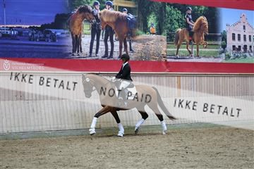 181887_mtp_05_R62_9687.JPG