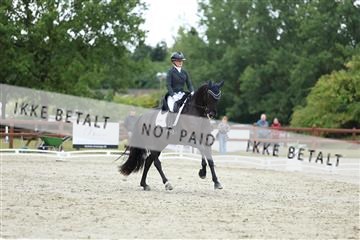 181923_mtp_01_R62_6978.JPG