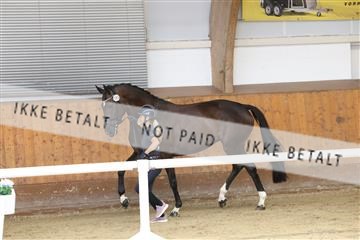 179800_BC_01_00067.JPG