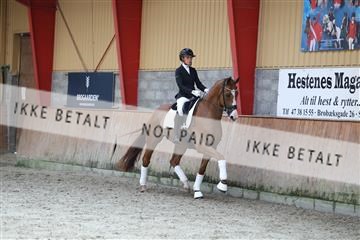181867_mtp_01_R62_4162.JPG