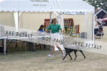 181848_kar_01__62_2168.JPG