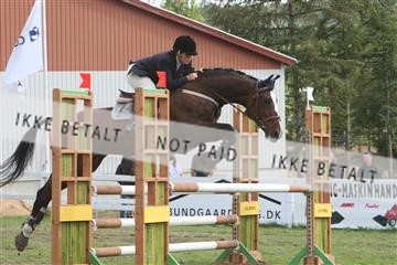 5925_ma_05_IMG_0895.JPG