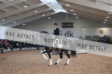 179022_kbb_01_R6II3202.JPG