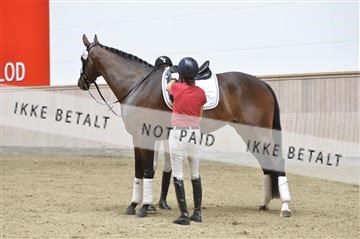 160111_nn_01__ESK1992.JPG