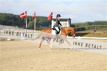 181894_mtp_04_R62_3040.JPG