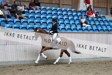 181887_mtp_02_R62_7842.JPG