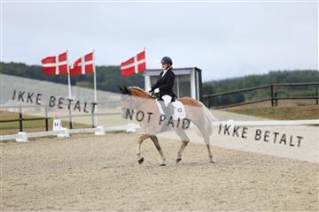 181894_mtp_04_R62_3704.JPG