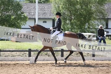 147698_nn_01_IMG_0114.JPG