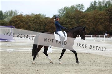 181923_mtp_02_R62_7099.JPG