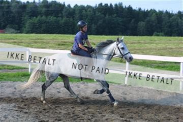 110-1026_IMG.JPG