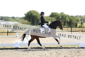 181894_mtp_02_R62_1728.JPG