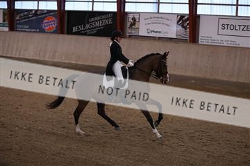 173782_mtp_01_3M5A8158.JPG