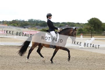 181894_mtp_02_R62_1370.JPG