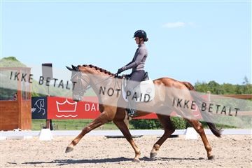 181449_bc_01R62_5689.JPG