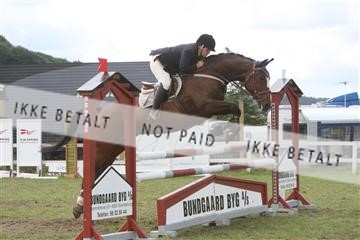 5925_ma_05_IMG_0900.JPG