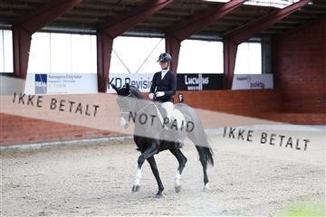 175442_kbb_01_R6II0153.JPG