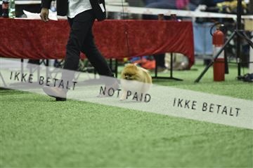 163793_bkn_01__BKN9151.JPG
