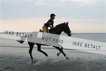 110-1038_IMG.JPG