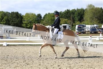 181894_mtp_05_R62_4803.JPG
