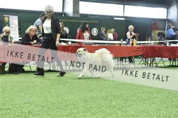 163793_bkn_01__BKN9236.JPG