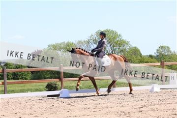 181449_bc_01R62_5657.JPG