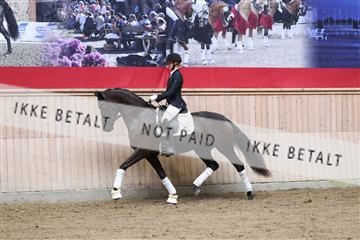 175166_kbb_01_R6II0291.JPG