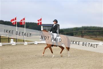 181894_mtp_04_R62_3234.JPG