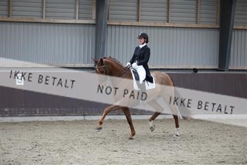 171210_mtp_01_3M5A6877.JPG