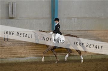144288_abo_01__AB22518.JPG