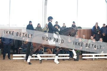 179022_kbb_01_R6II2437.JPG