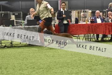 163793_bkn_01__BKN7460.JPG
