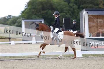 181894_mtp_01_R62_0198.JPG