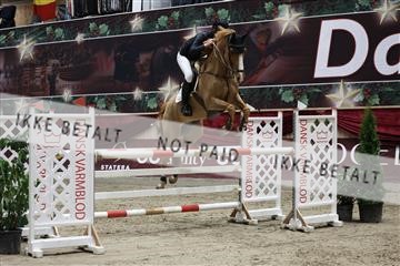 178335_avh_01_2764.JPG