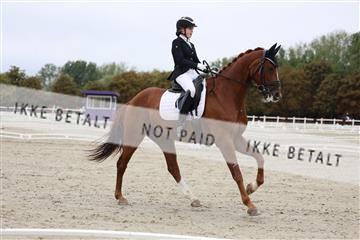 181923_mtp_01_R62_6428.JPG