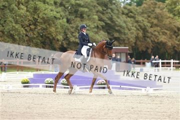 181923_mtp_04_R62_8350.JPG