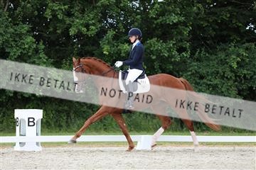 172073_mtp_01_3M5A3085.JPG
