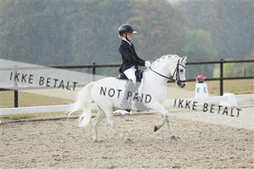 181894_mtp_05_R62_4426.JPG