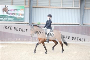 174313_mtp_01_3M5A5705.JPG