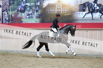 181887_mtp_05_R62_9430.JPG