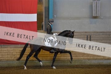 144288_abo_01__AB21648.JPG