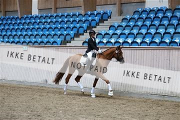 181887_mtp_05_R62_9888.JPG