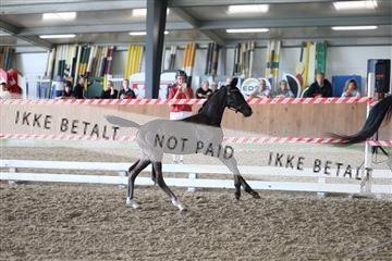 181756_mtp_03_R62_2334.JPG