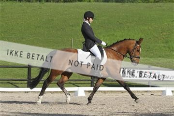 135086_sg_01_IMG_1855.JPG