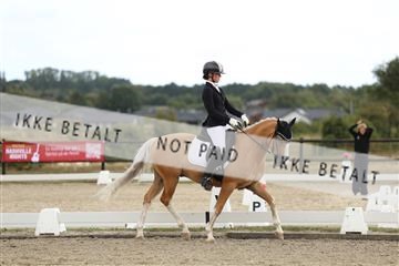 181894_mtp_03_R62_2523.JPG