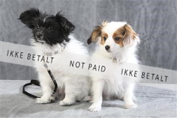 129608_le_ 01_0370.JPG