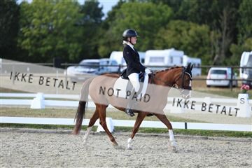 181894_mtp_05_R62_5202.JPG