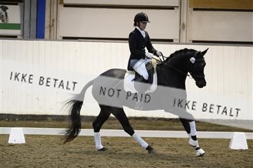 141472_abo_01__AB15667.JPG