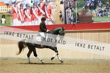 175676_avh_01_R62_4442.JPG