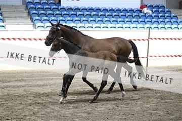 181754_kbb_01_Z093787.JPG