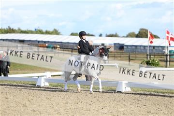 181894_mtp_05_R62_5510.JPG
